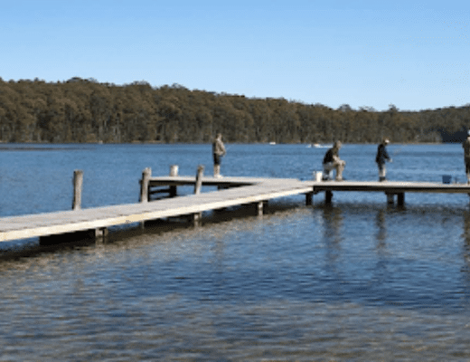 Camping spot in Shoalhaven